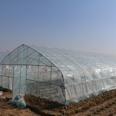 Ενιαίο θερμοκήπιο πλαστικών ταινιών σηράγγων γεωργίας για τη φράουλα που φυτεύει την ανάπτυξη