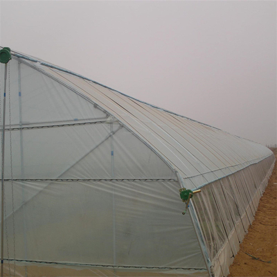 Οικονομική υψηλή γεωργία 60m στεφανών πλαστικό θερμοκήπιο σηράγγων