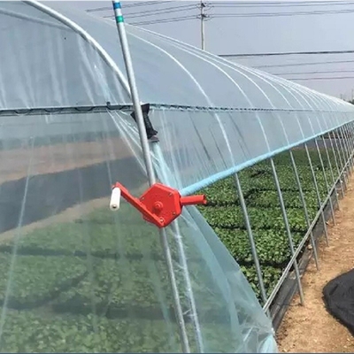 Ενιαίο θερμοκήπιο πλαστικών ταινιών σηράγγων γεωργίας για τη φράουλα που φυτεύει την ανάπτυξη